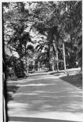 Le parc de Saigon